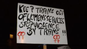 Gender Critical Feminism, the roots of Radical Feminism and Trans