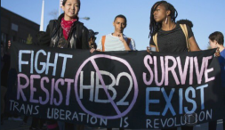Timeline of Queer & Trans POC-led Resistance to #HB2
