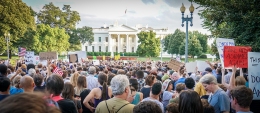 Violence, Nonviolent Action, and Social Reaction: A Nonviolent Amazon Perspective